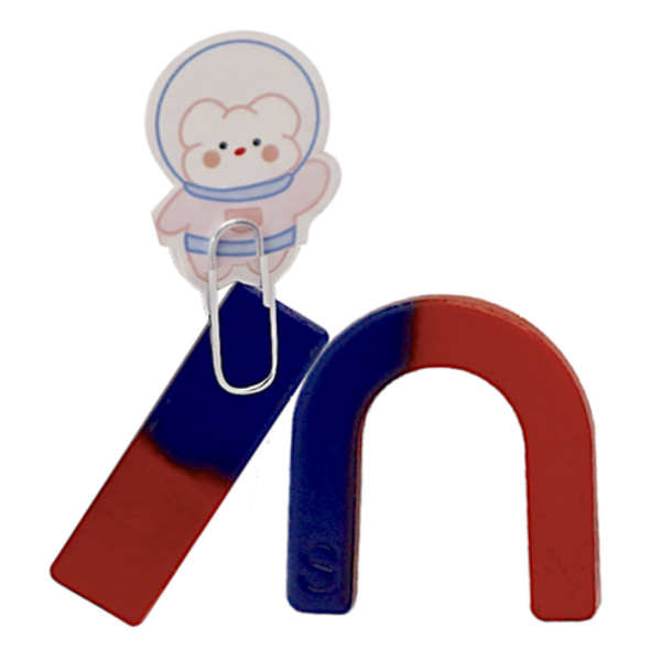 Magnetic Mayhem: The Science of Attraction! STEM Educational Set - Image 2