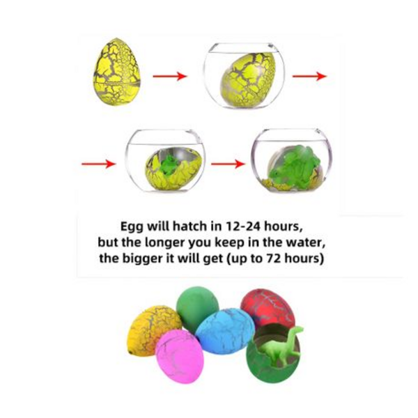 Hatching Fun for Everyone!