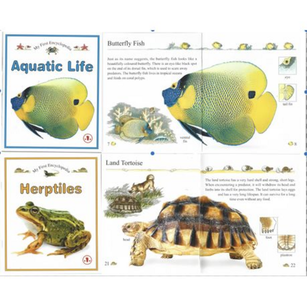 A World of Wonders: The "My First Encyclopedia" 10 (ten) Book Set