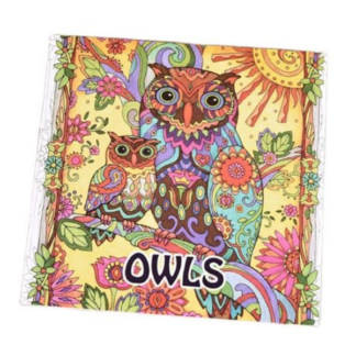 24-Page Owl Themed Mandala Pencil Colouring Book - Beginner-Friendly!