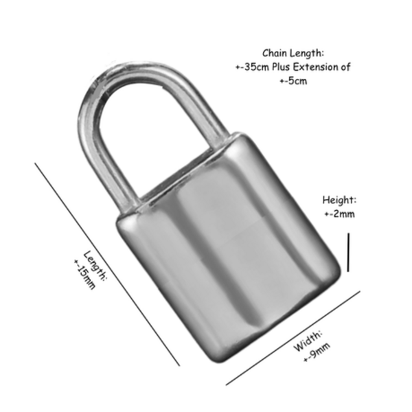 Lock Down Your Look (Literally): The Padlock Pendant Necklace That Shines! - Silver - Image 6